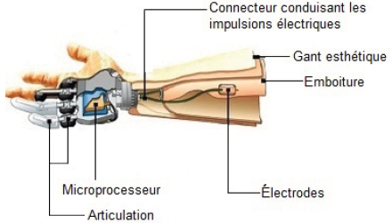 CCS-MP-2015-ProtheseMainMyoelectrique-Support CCS-MP-2015-ProtheseMainMyoelectrique-Support